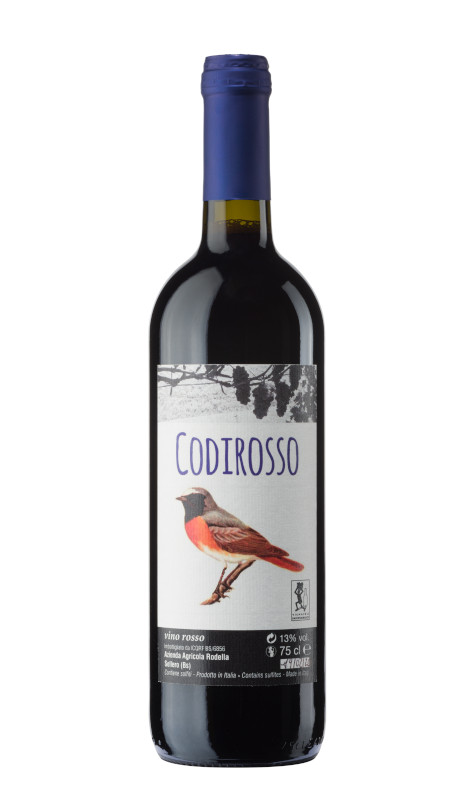 Codirosso merlot