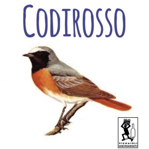 CODIROSSO – merlot