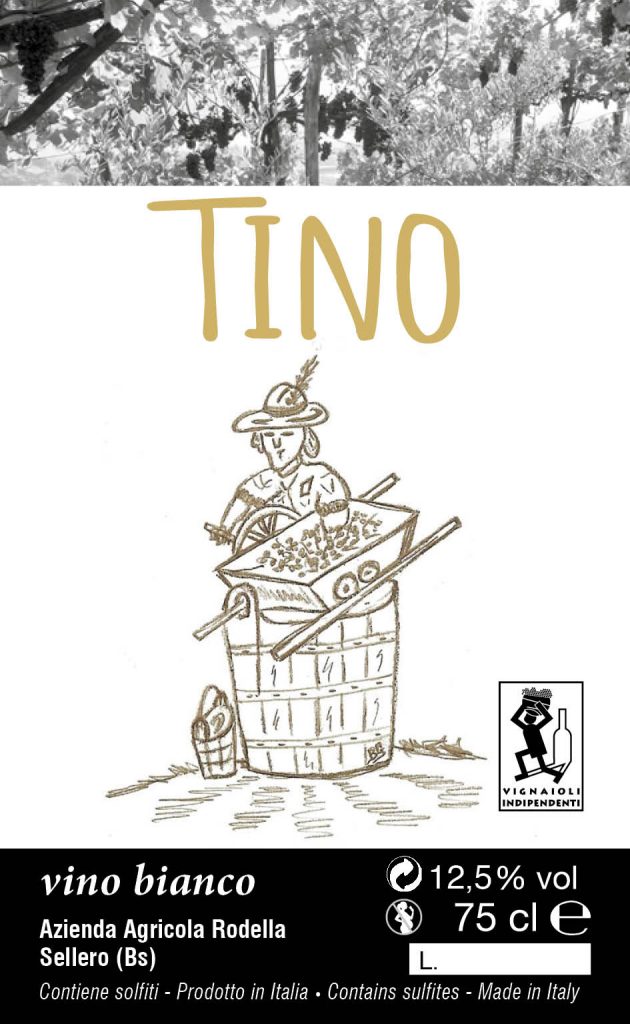 Etichetta_Tino