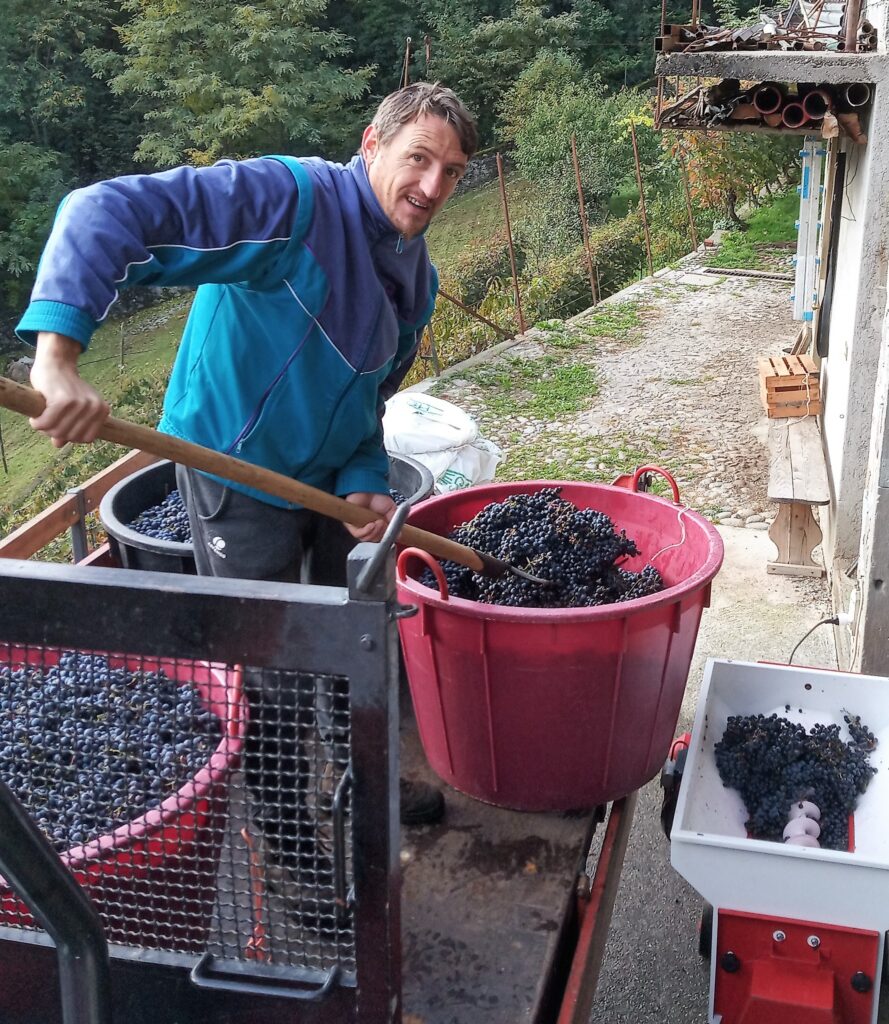 Marco_Grazioli_vignaiolo_con_uva